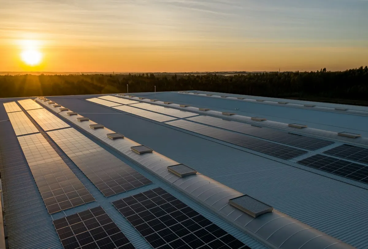 Roof-mounted solar panels in evening sunlight